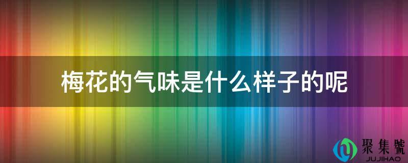 详细阅读:梅花的气息是什么样子的呢 梅花的气息是什么样子的呢
