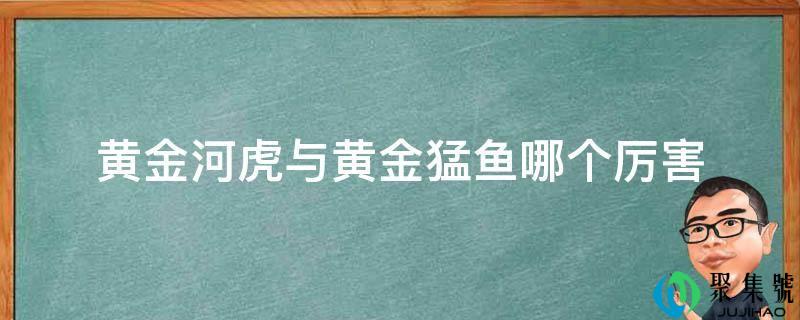 黄金河虎与黄金猛鱼哪个凶猛