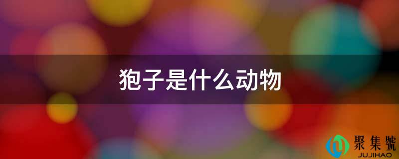 详细阅读:狍子是什么动物 狍子是什么动物