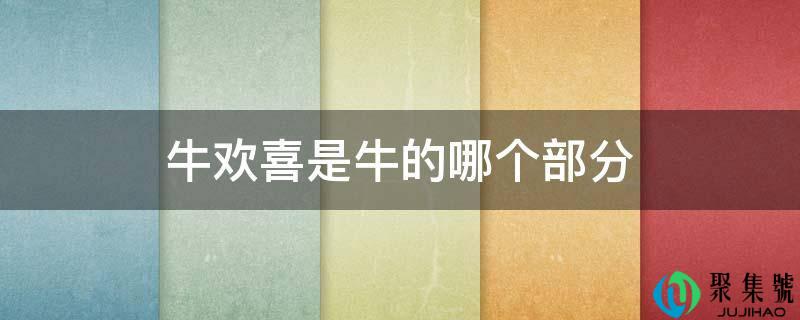 牛欢喜是牛的哪个部门