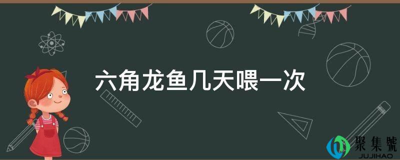 六角龙鱼几天喂一次