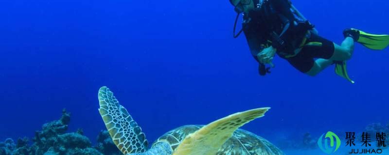 潜水的原含义和新含义