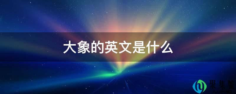 大象的英文是什么