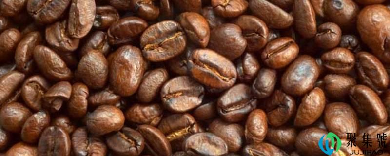 咖啡的故土是哪里