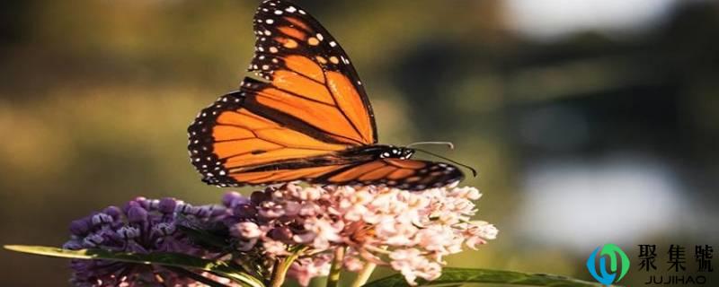 详细阅读:一个季度有几个月 一个季度有几个月