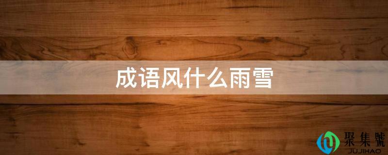 成语风什么雨雪