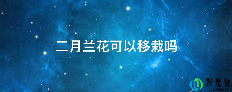 二月兰花能够移栽吗