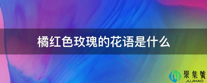 橘红色玫瑰的花语是什么