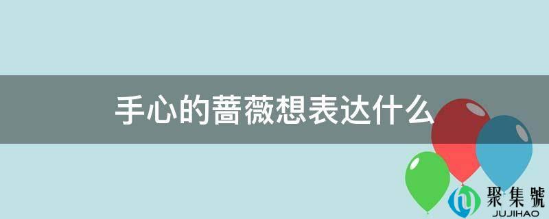 手心的蔷薇想表达什么