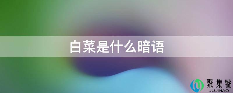 白菜是什么隐语