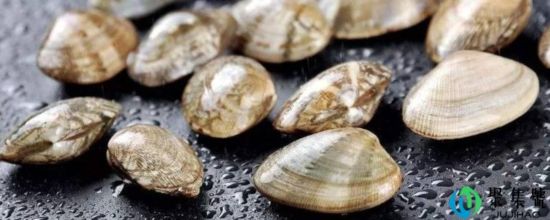 怎么看出花甲能否死了