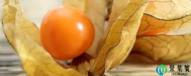 详细阅读:花姑娘是什么生果 花姑娘是什么生果