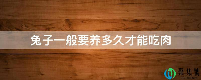 兔子一般要养多久才气吃肉