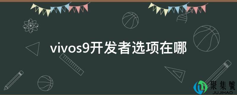 详细阅读:vivos9开发者选项在哪 vivos9开发者选项在哪