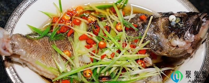 哪几种鱼能够清蒸