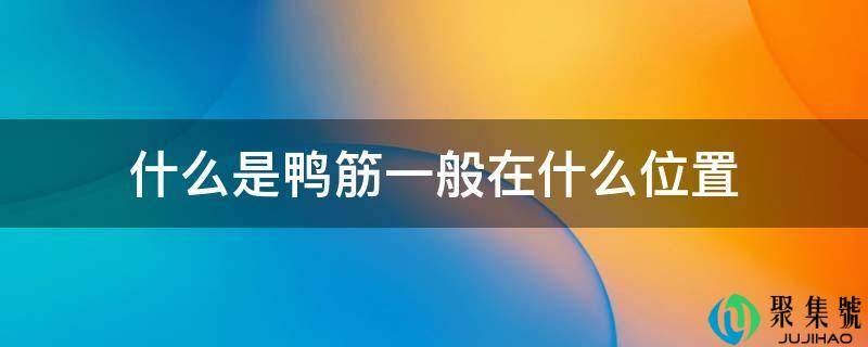 什么是鸭筋一般在什么位置