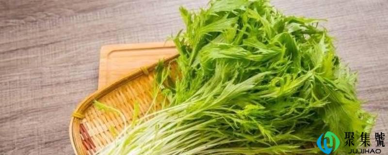 水菜怎么做