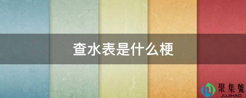 查水表是什么梗