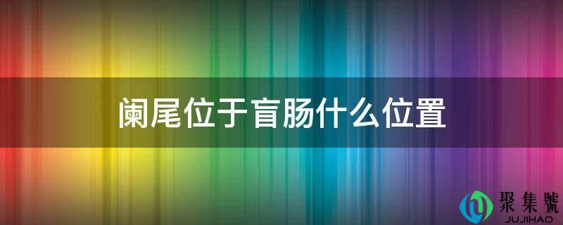 阑尾位于盲肠什么位置