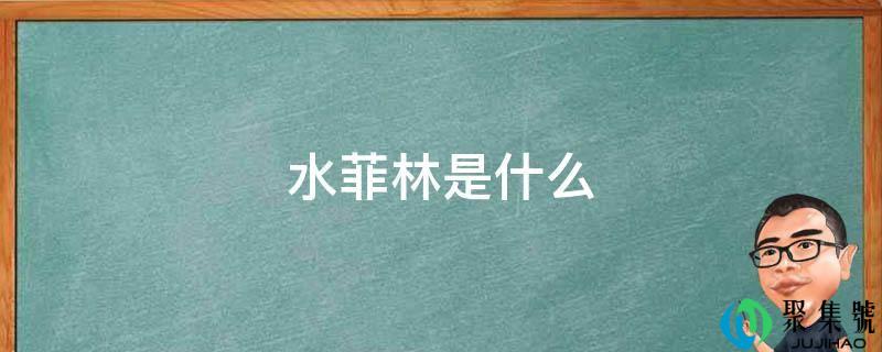 水菲林是什么