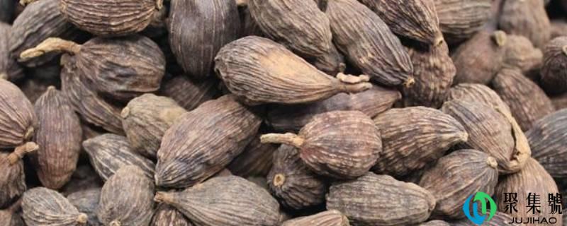 草果泡水的成效与感化