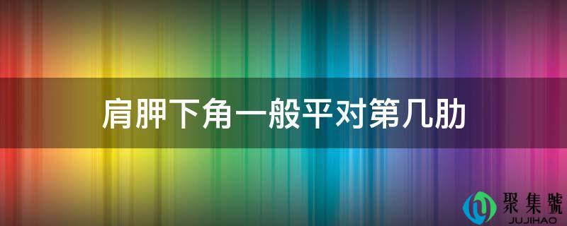 肩胛下角一般平对第几肋