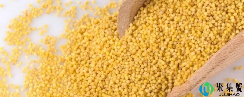 详细阅读:精致碳水有什么食物 精致碳水有什么食物