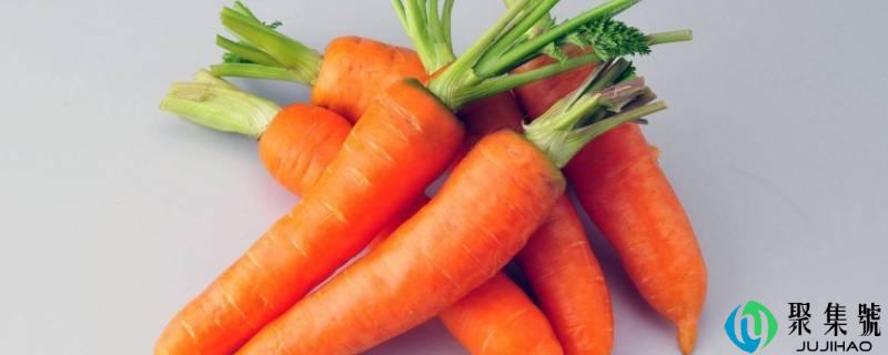 详细阅读:家庭胡萝卜更佳贮存办法 家庭胡萝卜更佳贮存办法