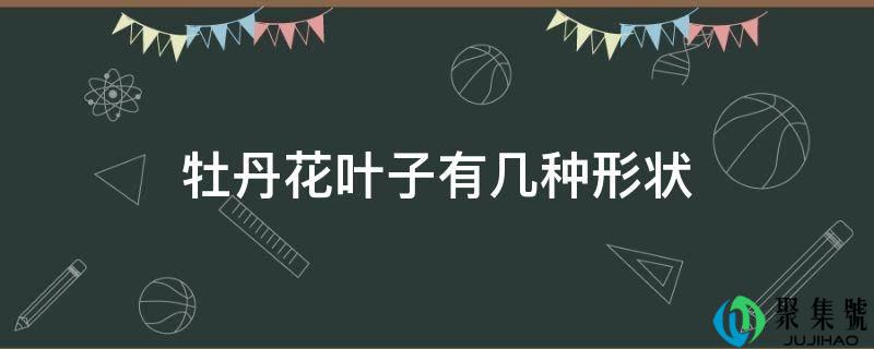 详细阅读:牡丹花叶子有几种外形 牡丹花叶子有几种外形