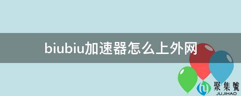 biubiu加速器怎么上外网