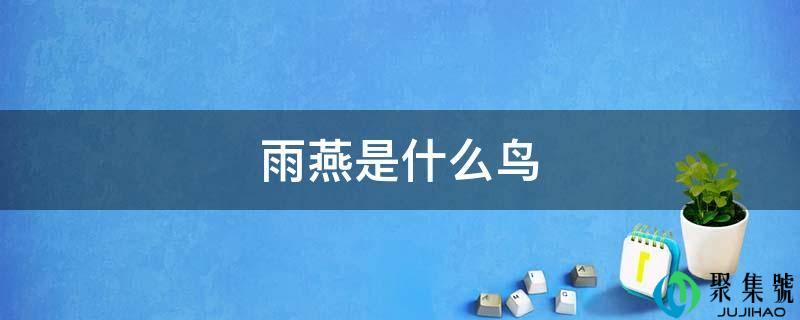 雨燕是什么鸟