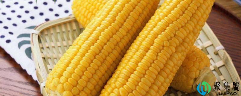 高压锅煮玉米怎么煮