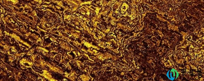 详细阅读:什么颜色加什么颜色等于黄金色 什么颜色加什么颜色等于黄金色