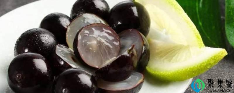 嘉宝果能够吃吗