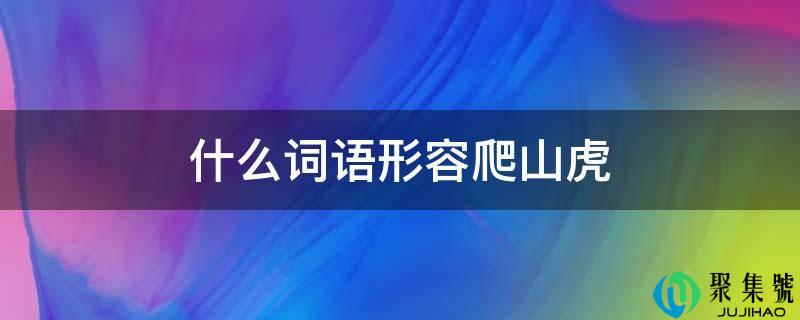 什么词语描述登山虎