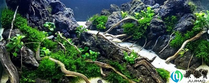 水草泥怎么清洗