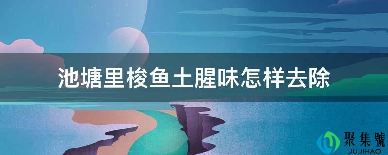 池塘里梭鱼土腥味如何去除