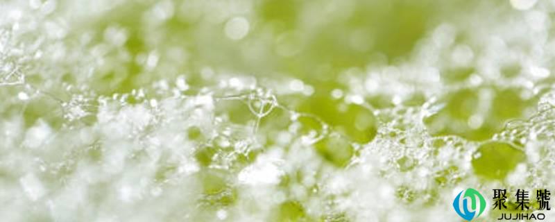 详细阅读:洗洁精能够洗头发吗 洗洁精能够洗头发吗