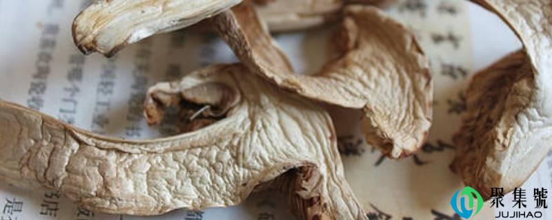 详细阅读:松茸干货怎么吃 松茸干货怎么吃