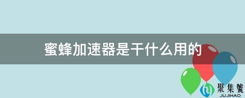 蜜蜂加速器是干什么用的