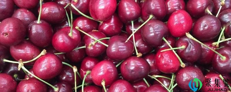 车厘子能够放多久