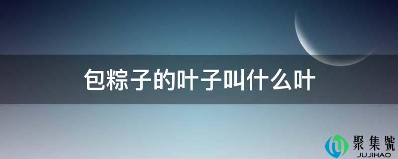 包粽子的叶子叫什么叶