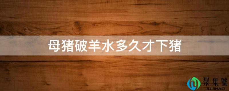 母猪破羊水多久才下猪