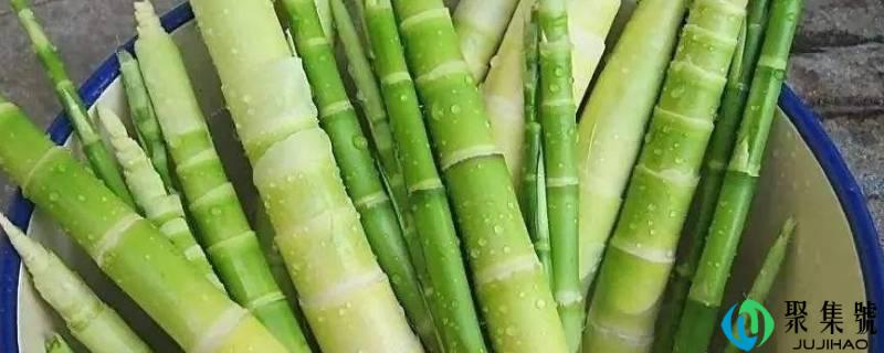详细阅读:细竹笋是什么笋 细竹笋是什么笋