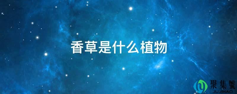 详细阅读:香草是什么动物 香草是什么动物