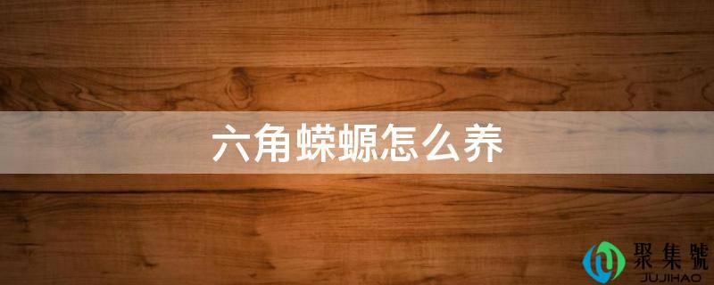 详细阅读:六角蝾螈怎么养 六角蝾螈怎么养
