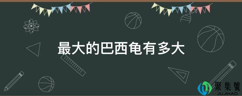 更大的巴西龟有多大