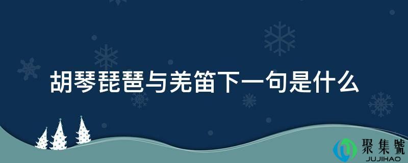 胡琴琵琶与羌笛下一句是什么