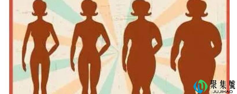 体脂肪率是什么