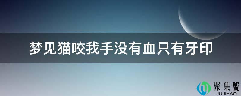 梦见猫咬我手没有血只要牙印